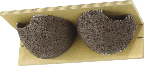 CJ Wildlife Nistkasten Cancun für Mehlschwalben 2er Set in grau von Wildlife