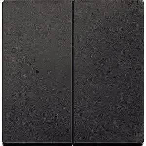 Merten MEG5220-0414 Wippen für Taster-Modul 2-fach, System M, anthrazit