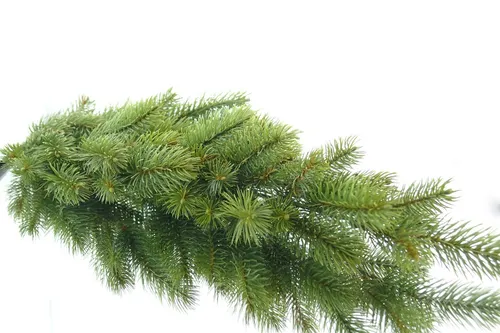 Weihnachtsdekoration Tannenzweig Grün - Kunststoff 57 cm