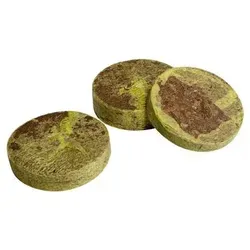 Pflanzen Braun von Windhager