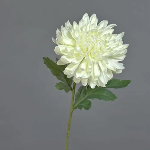 artplants.de Kunstblume Chrysantheme DELPHINA, Creme, 65cm, Ø14cm - Chrysantheme künstlich