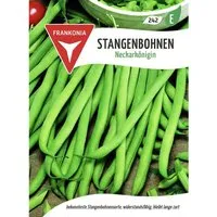 FRANKONIA Stangenbohne Neckarkönigin