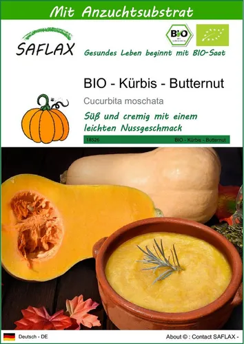 SAFLAX Gemüsesamen SAFLAX - Samen und Substrat - BIO - Kürbis - Butternut
