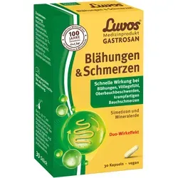 Luvos Gastrosan Blähungen & Schmerzen Kapseln 30 St