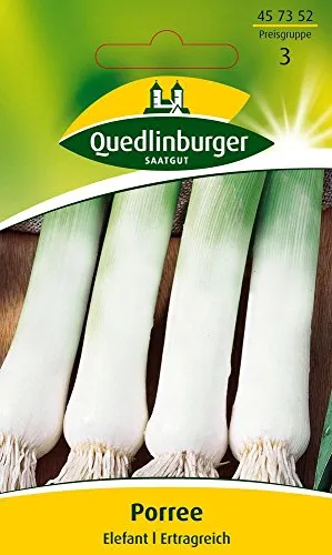Lauchsamen von Quedlinburger