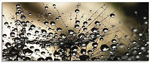 ARTland Wanddeko Glasbilder Wandbild Glas Bild einteilig 125x50 cm Querformat Natur Botanik Blumen Pusteblume Frühling Wassertropfen Modern S5YR
