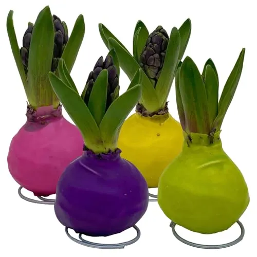 Pflanzen-Kölle Pflanzen von Pflanzen-Kölle