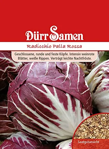 Dürr-Samen - Radicchio Palla Rossa Saatgut