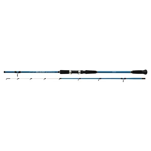 Shimano Angelruten von Shimano
