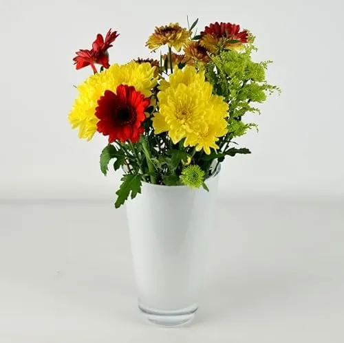 EMH Handgefertigte mundgeblasene weiße Glasvase, zylinderförmig, 25 cm hoch