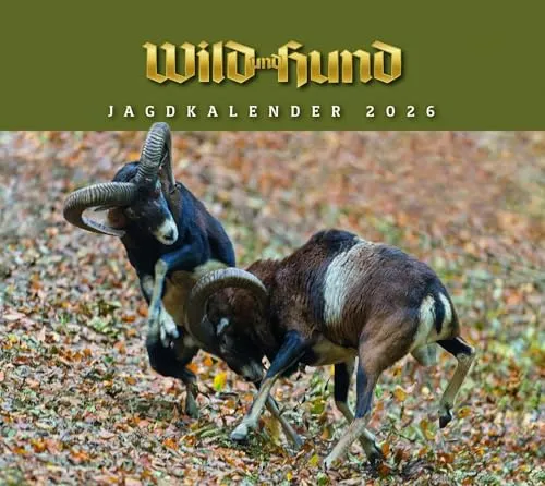 Jagdkalender Tischvariante 2026: WILD UND HUND