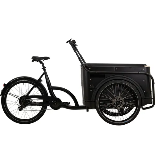 BBF eCargorider 3.1 Royal Lastenrad - E-Bike mit 250 W Bafang Motor, ideal für Transporte bis 132 kg. Perfekt für Stadtfahrten und längere Strecken.