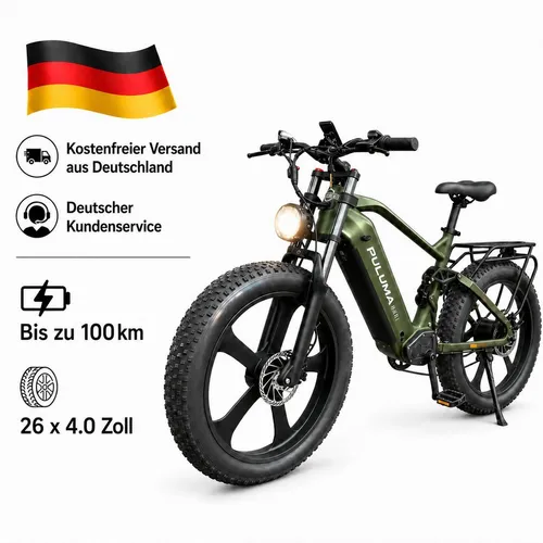 PIXAR 26 Zoll Fat-E-Bike PE900 mit 250W Motor und 52V20Ah Akku