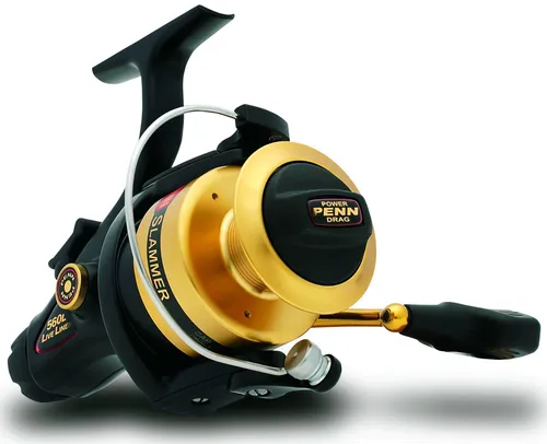 Penn Freilaufrolle Slammer Liveliner Modellgröße 560LL