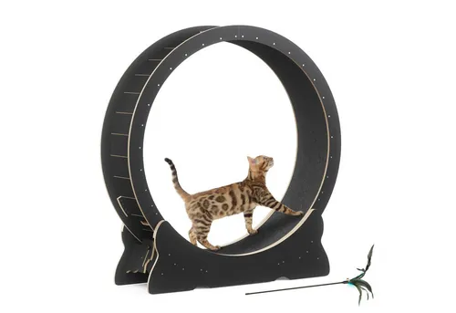 Mondeer Katzenlaufrad mit Sicherheitsschloss, Schwarz - Indoor-Katzenlaufrad mit 100 cm Durchmesser, fördert Bewegung und Spielspaß. Geräuscharm und stabil, ideal für Katzen bis 22 kg. Inklusive Kratzstab für zusätzliche Unterhaltung.