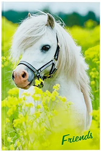 Pagna 20346-15 Freundebuch kleines Pony 60S
