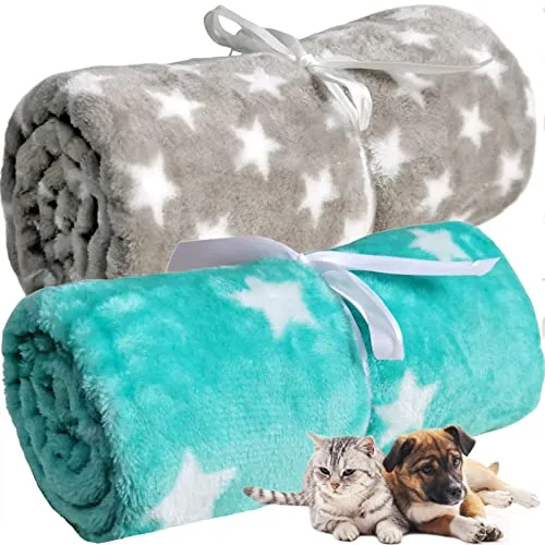 LeerKing Hundedecke flauschig Katzendecke waschbar Fleecedecke Kuscheldecke für Sofa Hundebett und Auto 2er Pack Hellgrau Grün 75 * 100cm