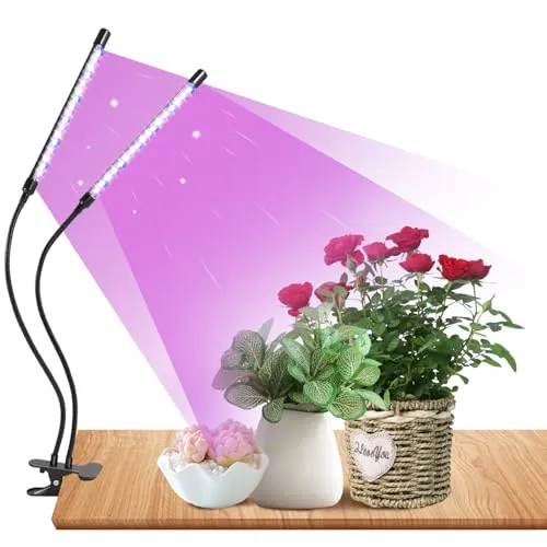 Railee Pflanzenlampe LED Vollspektrum mit Zeitschaltuhr und 3 Farbmodi