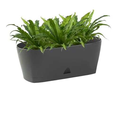 Engelland - 1 x Blumenkasten mit Untersetzer, Anthrazit, Balkonkasten, Pflanztopf, 25 cm, Tischdeko, für Garten, Terrasse, Fensterbank, mit Wasserauffangschale, Innen- & Außenbereich, 1,7 Liter