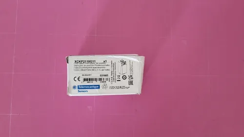 TELEMECANIQUE Positionsschalter XCKP2110G11 _0,07_5