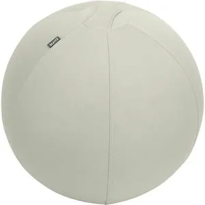 Leitz Sitzball Ergo Active - Ergonomischer Sitzball mit Anti-Wegroll-Funktion, ideal für Büro und Fitness, 55cm, hellgrau