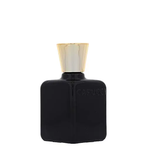 Produktbild Eau de Parfum ROBERTO CAPUCCI ANIMA NERA FÜR MANN 100ml 1700