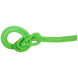 Mammut 9.5 Crag Dry Rope