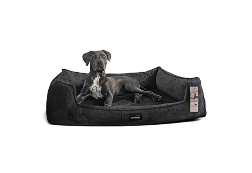 tierlando® Orthopädisches Hundebett Franklin | Hochwertiges Hundesofa in Antrazit - Hundebetten der Kategorie Wellness mit kuscheligem Teddy-Stoff, orthopädischer Visco-Funktion gegen Rückenschmerzen und pflegeleichtem, waschbarem Bezug.