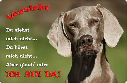 Produktbild WEIMARANER