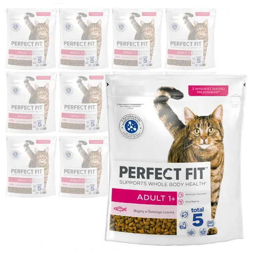 Perfect Fit Adult 1+ Jahre 12x750g Trockenfutter für erwachsene Katzen mit Lachs