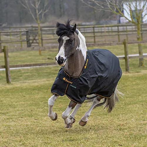 BUCAS Irish Turnout 50g + NECK black/gold Regendecke - Winterdecke für Pferde, wasserdicht und atmungsaktiv, bietet optimalen Schutz und Komfort mit abnehmbaren Halsteil für wechselhafte Wetterbedingungen.
