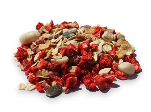 100% BIO Porridge I High Protein Haferflocken für Sportler I Sonnenblumen Protein und Chia Samen I Bio Müsli I 600g