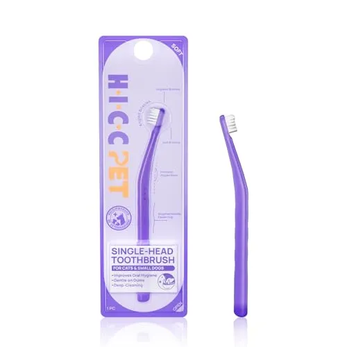 Mundpflege für Haustiere von HICC PET
