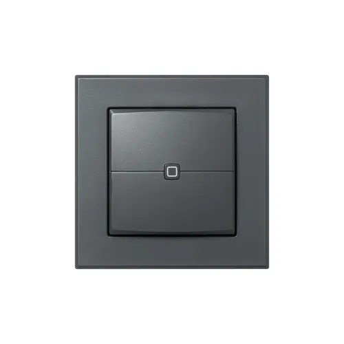 Homematic IP Wandtaster 2-fach in grau von Homematic IP