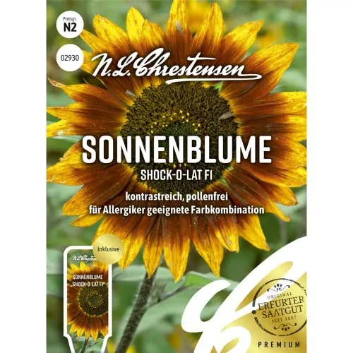 Sonnenblume Shock-o-lat F1, kontrastreich, pollenfrei, Samen