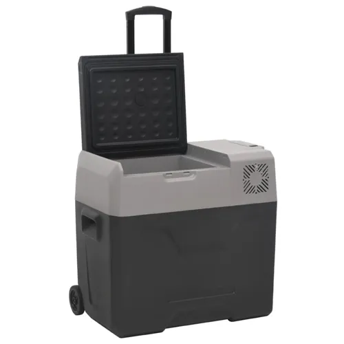 vidaXL Kühlbox mit Rollen und Adapter 40 L - Kühlbox für Outdoor-Aktivitäten, mit starkem Kompressor für schnelle Kühlung und 2 Modi. Ideal für Reisen, Picknicks und Camping, schützt die Autobatterie und ist tragbar dank Rollen und Teleskopgriff.