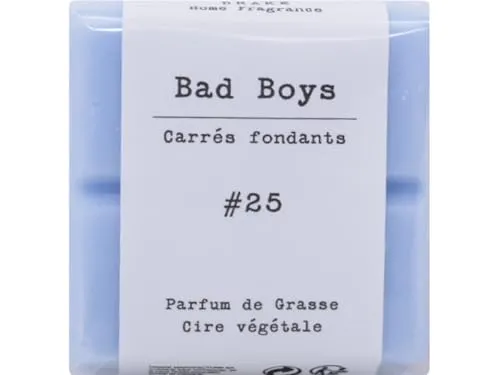 Duftzauber Tabs – Aroma-Schmelzlinge aus Duftwachs | Schmelztabletten für Duftlampen & Wachswärmer | Aromawachs für intensives Dufterlebnis (Quadrat, Nr.25 - BAD BOYS)