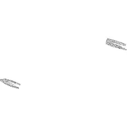 Hansa Brausearmatur Hansaprimo 49450103 Aufputz, chrom - Duscharmaturen mit eleganter chrom Oberfläche, ideal für moderne Badezimmer und einfache Montage.