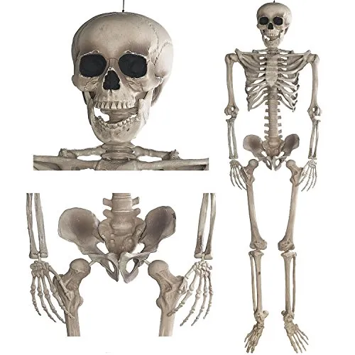 GOODS+GADGETS Deko Skelett 160 cm - Gruselige Halloween Deko - Figuren und authentisches 160 cm großes Skelett, ideal für lebensechte Horror-Dekorationen bei Halloween und Mottopartys. Robustes, wasserfestes Material für drinnen und draußen.