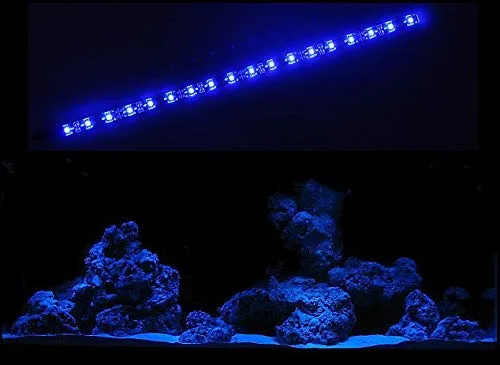 creative lights