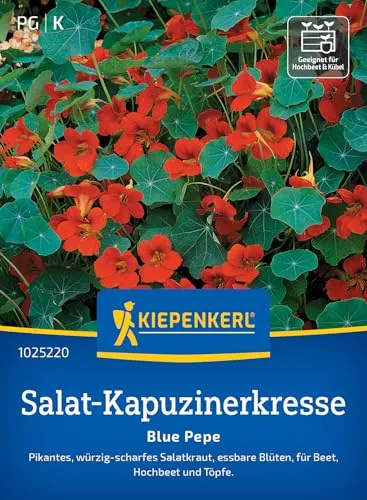 Kiepenkerl Salat-Kapuzinerkressesamen Blue Pepe 1025220 – Pfeffrig-scharfer Geschmack für Salate – Ideal für Beet & Töpfe – Babyleaf Gemüsesamen für 20 Pflanzen