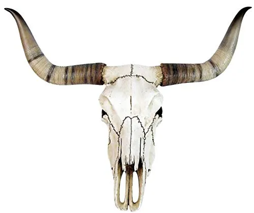 Veronese Design Bullenschädel Longhorn Schädel - Wandskulptur aus hochwertigem Polyresin, handbemalt und sehr naturgetreu – ein eindrucksvolles Deko-Element für Ihr Zuhause.