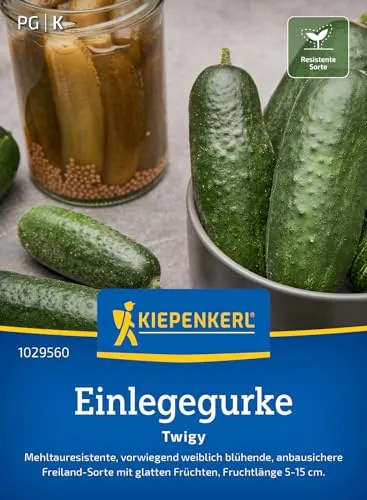 Kiepenkerl Einlegegurkensamen Twigy 1029560