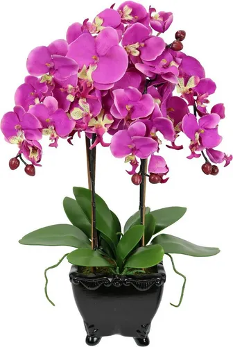 Kunstblume Künstliche Orchidee Phalaenopsis 60 cm - Kunstblumen - Detailgetreue Phalaenopsis Orchidee in hochwertiger Verarbeitung, ideal für lichtschwache Räume und als stilvolle Dekoration für jeden Anlass.