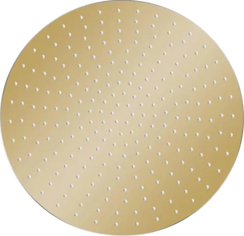 vidaXL Regenbrause 50cm in gold von vidaXL