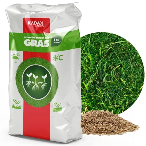 KADAX Rasensamen, Grassamen 1 KG, schnellwachsendes Gras, Rasenpellets, schnellkeimender Rasensamen, Rasensaat, Grassaat resistent gegen Frost, Rasen