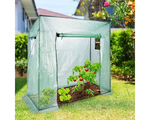 Großes Tomatengewächshaus