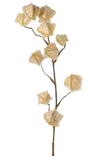 artplants.de Kunst Physalis Zweig AINOS, Früchte, Glitzer, Creme, 80cm - Künstlicher Deko Zweig