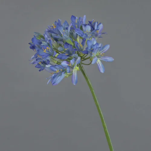 Kunstblume Agapanthus ORNIL, 90 cm, blau - Elegante Kunstblume Agapanthus in Blau, ideal für die Innendekoration. Pflegeleicht und langlebig, bringt sie frischen Wind in Ihr Zuhause.