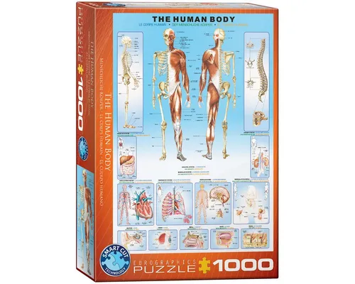 Puzzle 1000 Teile Puzzle - Puzzle - Der menschliche Körper, Puzzleteile